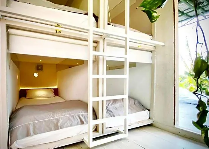 Auberge de jeunesse The Hide *